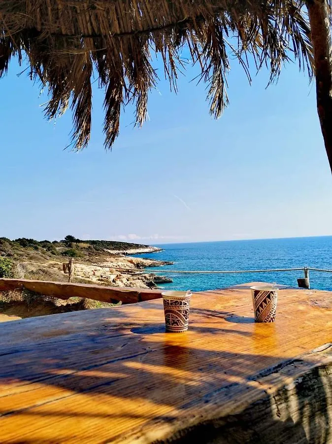 Apartment Andreas - Amphitheater With Free Parking- Pula Kroatië