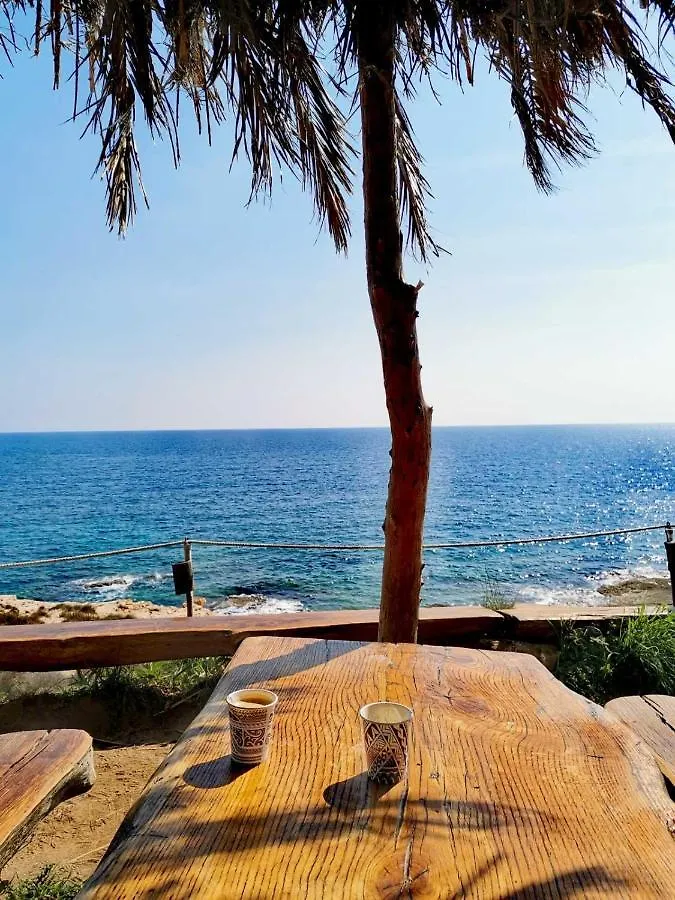 Apartment Andreas - Amphitheater With Free Parking- Pula Kroatië