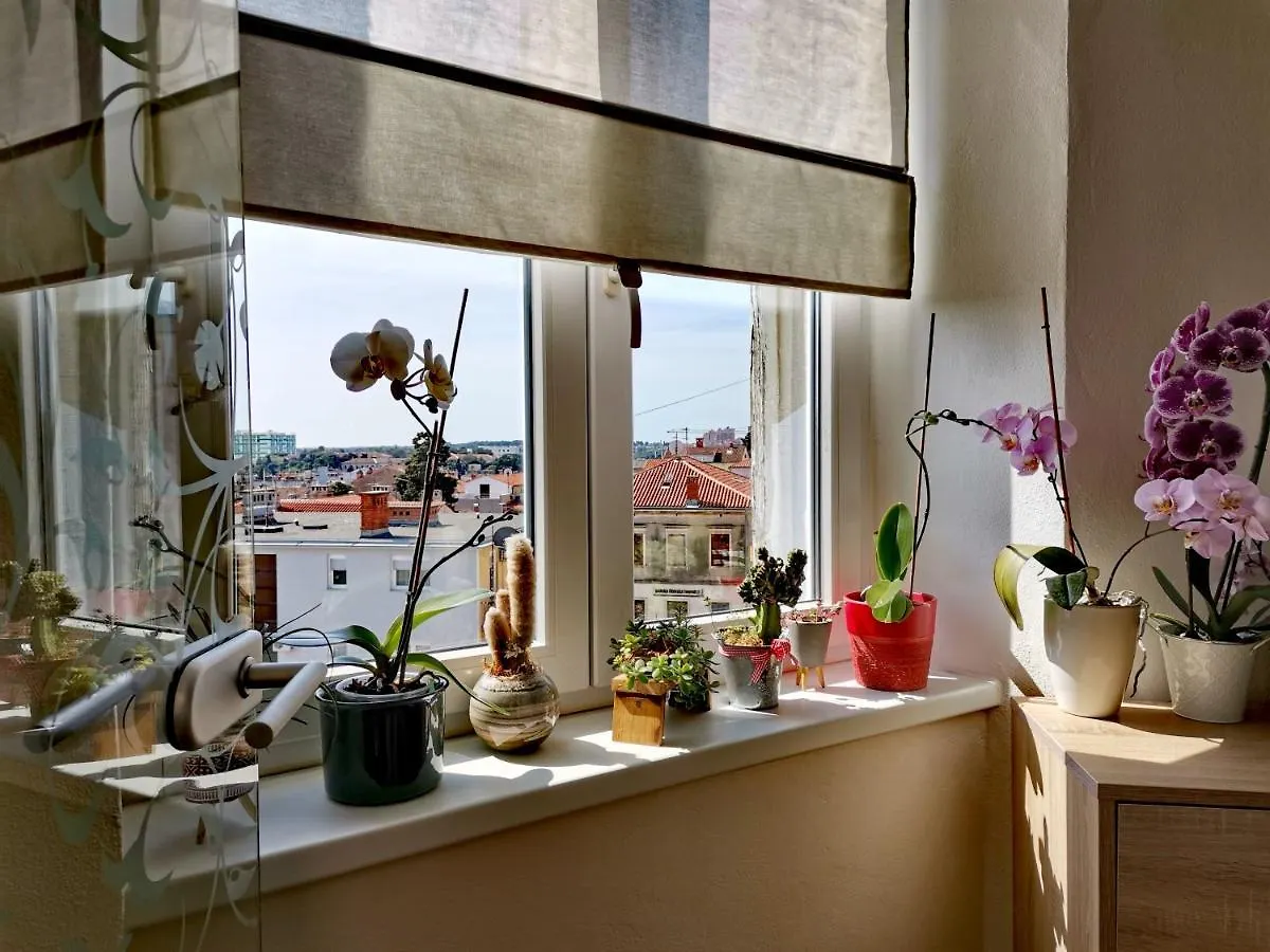 Apartment Andreas - Amphitheater With Free Parking- Pula